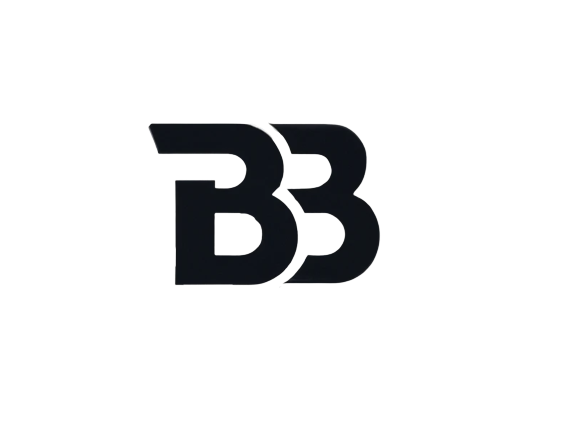 binarybrains logo